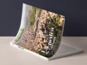 La pedra de Girona, protagonista del darrer número de la Revista de Girona
