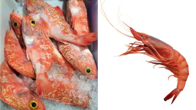 Imatge de Productes de Roses