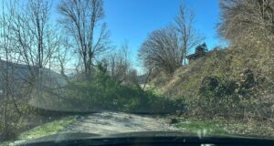 Alcaldes del Ripollès treballen per pal·liar els efectes de la ventada: “No pot ser que ens quedem sense connectivitat”