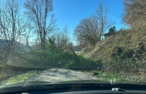 Alcaldes del Ripollès treballen per pal·liar els efectes de la ventada: “No pot ser que ens quedem sense connectivitat”