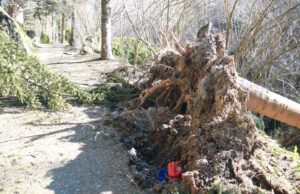 Protecció Civil alerta d’un diumenge amb ratxes generalitzades de vent superiors als 90 km/h a la meitat nord