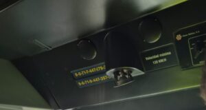 Evacuen 165 passatgers d’un tren de l’R11 aturat després que li caigués un arbre a sobre a Sant Jordi Desvalls