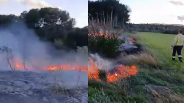 Imatge de l'incendi de matolls (Bombers)