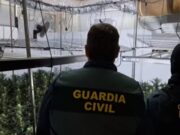 Quatre detinguts per una plantació de marihuana amb més de mil plantes a Sant Pere Pescador