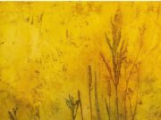 Inauguració de l’exposició de pintures de Lurdes Portas a Ca l’Anita