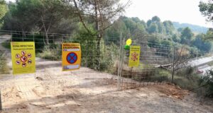 Detectats 11 nous casos positius de PPA dins de la zona d’alt risc que eleven la xifra total fins als 252