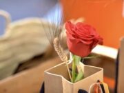 Roses celebrarà la Diada de Sant Jordi amb múltiples activitats per a tots els públics