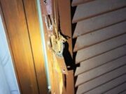 Enxampat in fraganti a Castelló d’Empúries mentre robava en una casa
