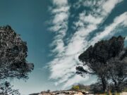 Maria Gutiérrez García, guanyadora del III Concurs d’Instagram sobre el Patrimoni de Pedra Seca de Roses