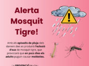 Alerta per a la possible proliferació del mosquit tigre a Roses