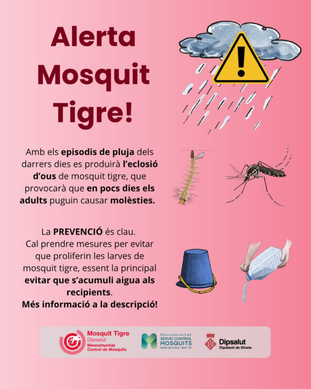 noticia_1779732752.jpg