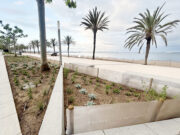 La renovació dels parterres del passeig Marítim inclou espècies sostenibles