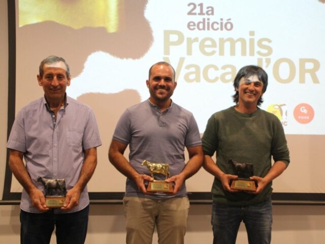 noticia_1781256298.jpg