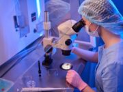 Els antioxidants mostren potencial per optimitzar la fecundació in vitro