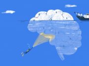 El cervell com a clau per entendre el metabolisme i la infertilitat