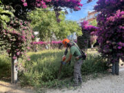 Roses rep un nou equip d’ALTEM per a la jardineria municipal i reafirma el seu compromís social