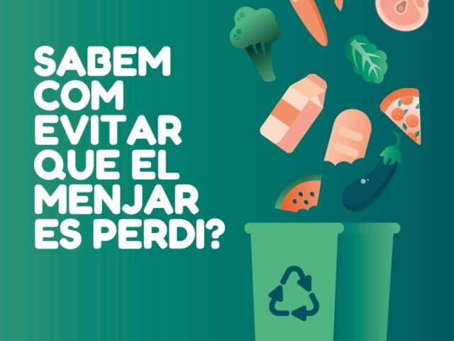 noticia_1784110473.jpg