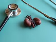 Un nou model de l’hospital universitari la llum impulsa la detecció precoç de la malaltia renal crònica