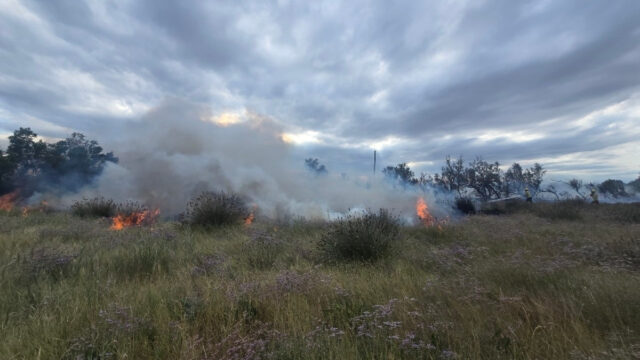Imatge de l'incendi al càmping de Sant Pere Pescador (Bombers)